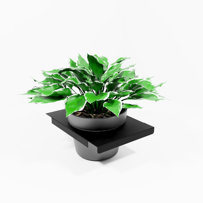 Plant-Rig 300 mm Docking Shelf – Modular Room Divider System – Powdercoated
