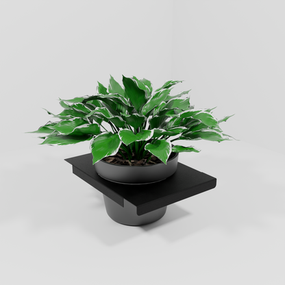MONO, TIERRED PLANTER DISPLAY, DOCKING SHELF, SOLO