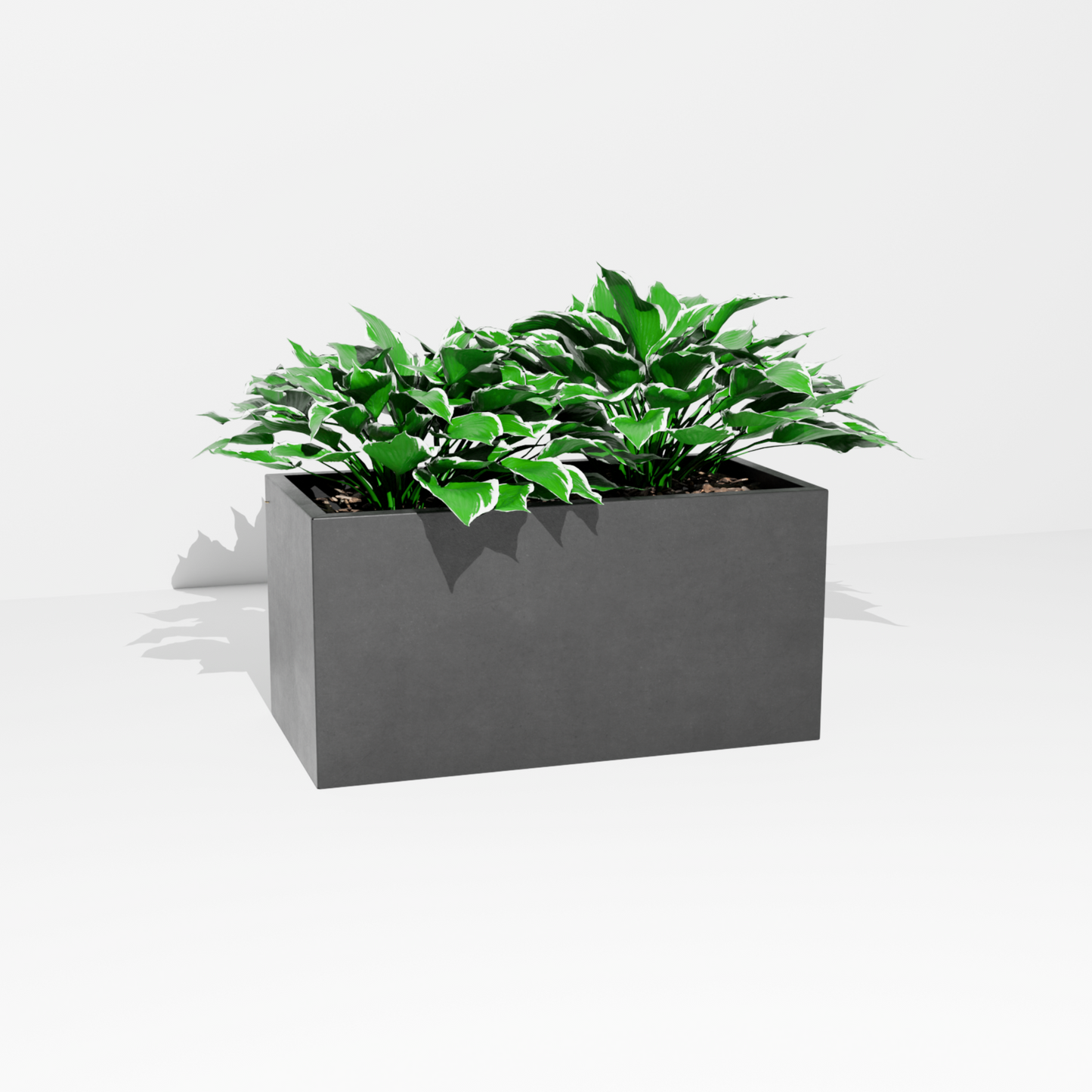 Plant-Rig 600 mm Planter – Modular Room Divider System – Powdercoated